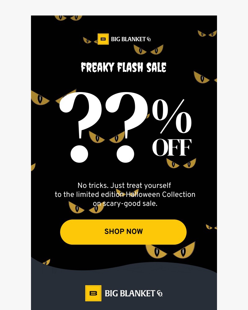 Screenshot of email with subject /media/emails/freaky-flash-sale-dd86d4-cropped-d0c2b937.jpg