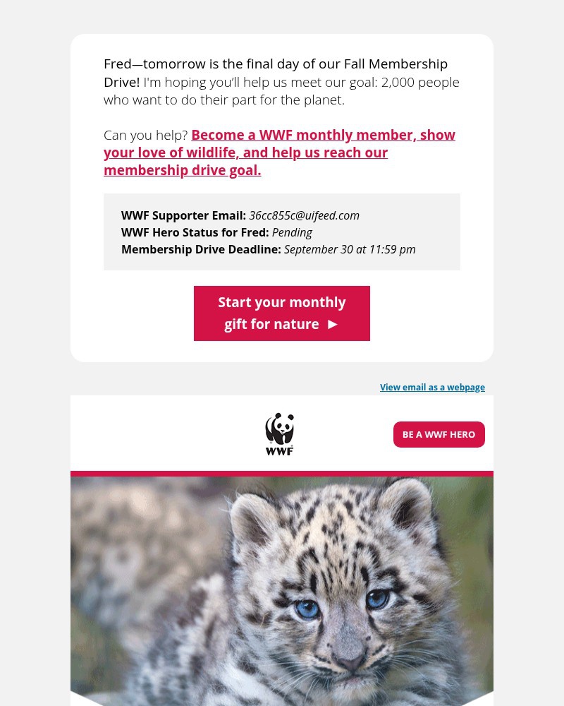 Screenshot of email with subject /media/emails/fred-can-help-us-cross-the-finish-line-30fa7a-cropped-40ae19a2.jpg