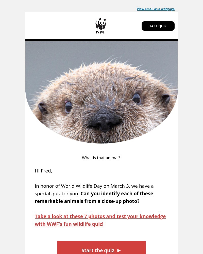 Screenshot of email with subject /media/emails/fred-can-you-guess-all-7-animals-correctly-541aa6-cropped-7d453485.jpg