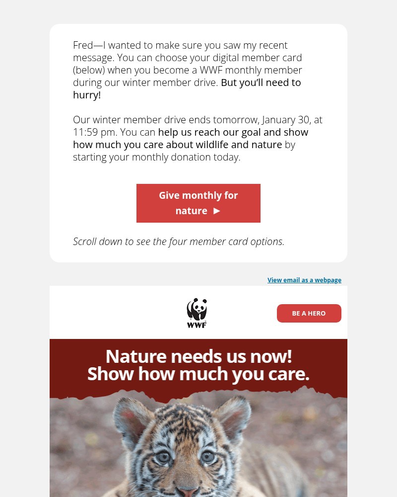 Screenshot of email with subject /media/emails/fred-dont-forget-to-pick-your-member-card-by-friday-02531d-cropped-5e1a26f4.jpg