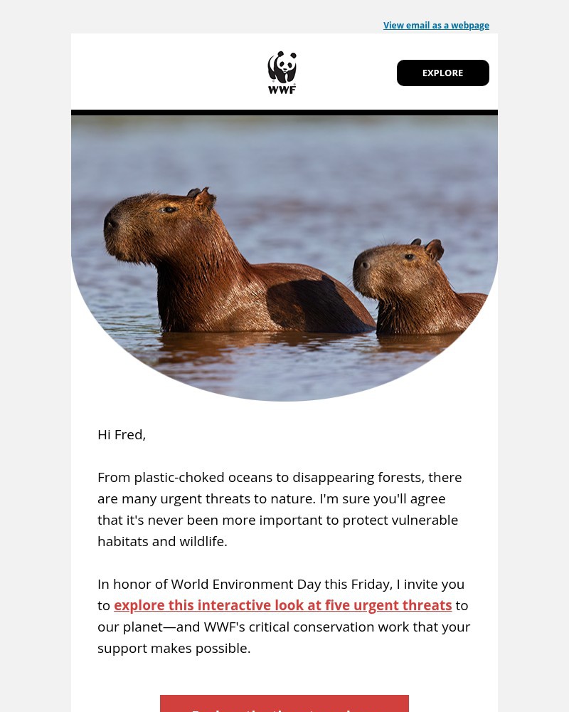 Screenshot of email sent to a World Wildlife Fund Newsletter subscriber