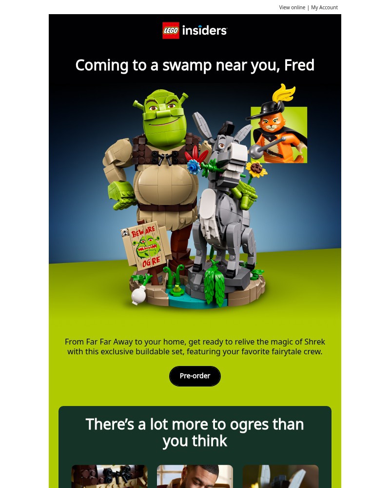 Screenshot of email sent to a Lego Registered user