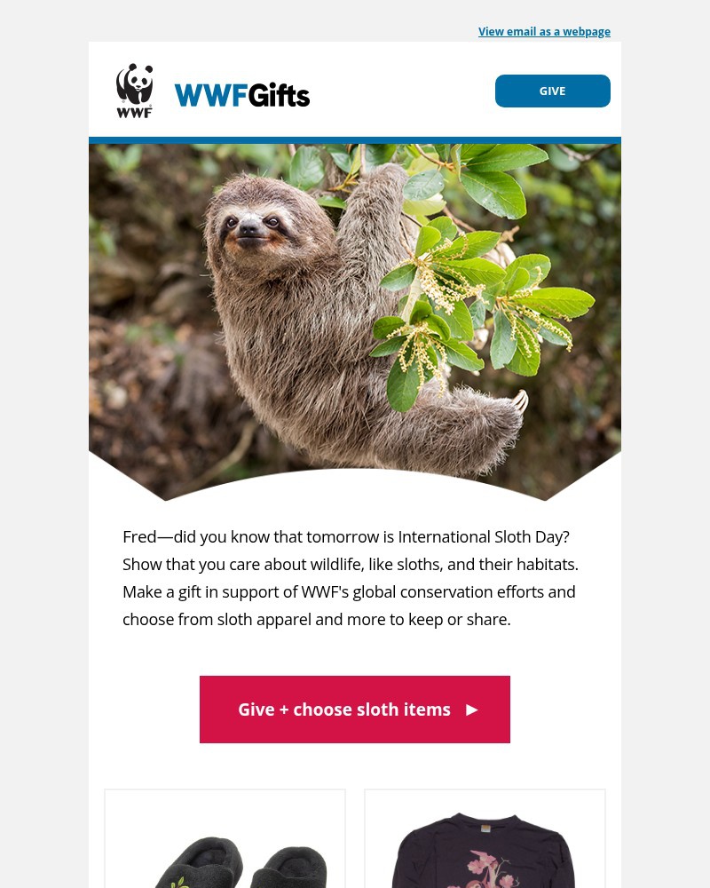 Screenshot of email with subject /media/emails/fred-give-for-sloth-dayand-receive-apparel-0a6b8d-cropped-e0525377.jpg