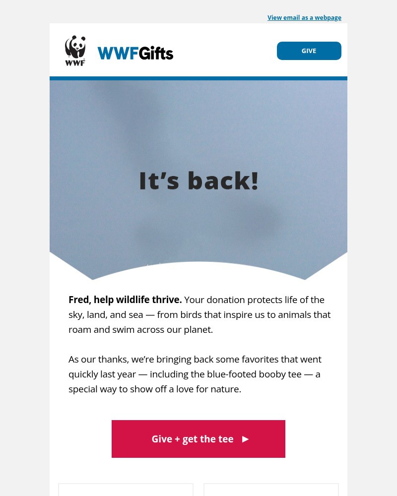 Screenshot of email with subject /media/emails/fred-help-wildlife-thrive-the-blue-footed-booby-tee-is-back-808679-cropped-55e24b23.jpg