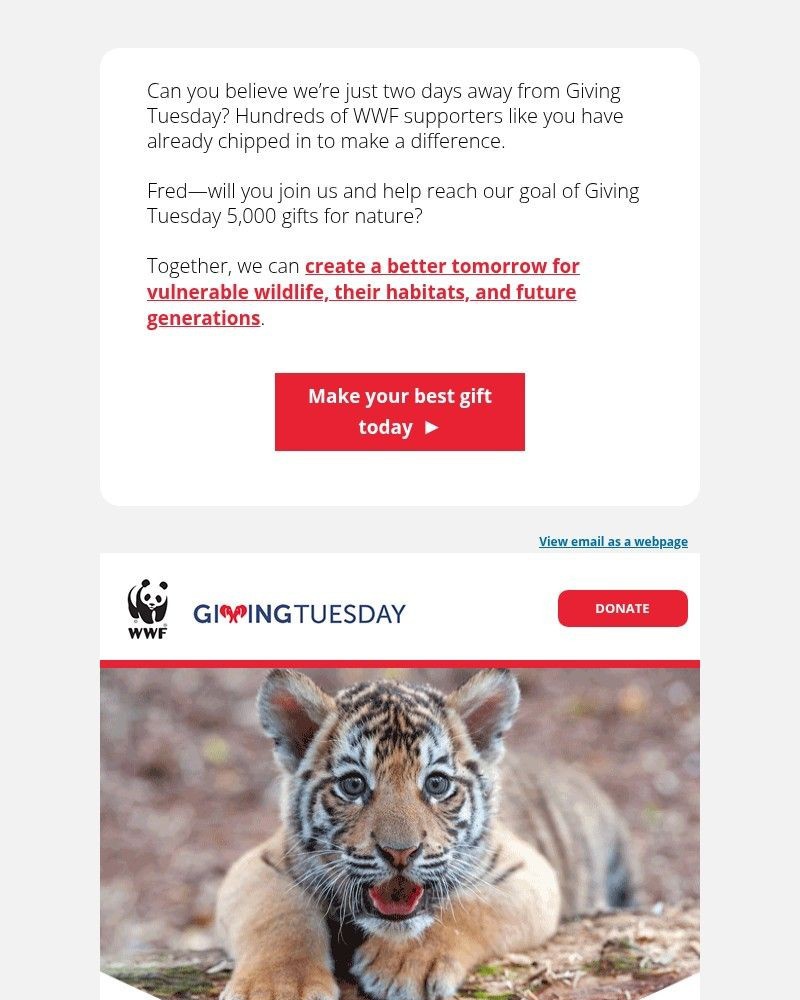 Screenshot of email with subject /media/emails/fred-is-protecting-nature-on-your-to-do-list-c882dc-cropped-eea9a908.jpg