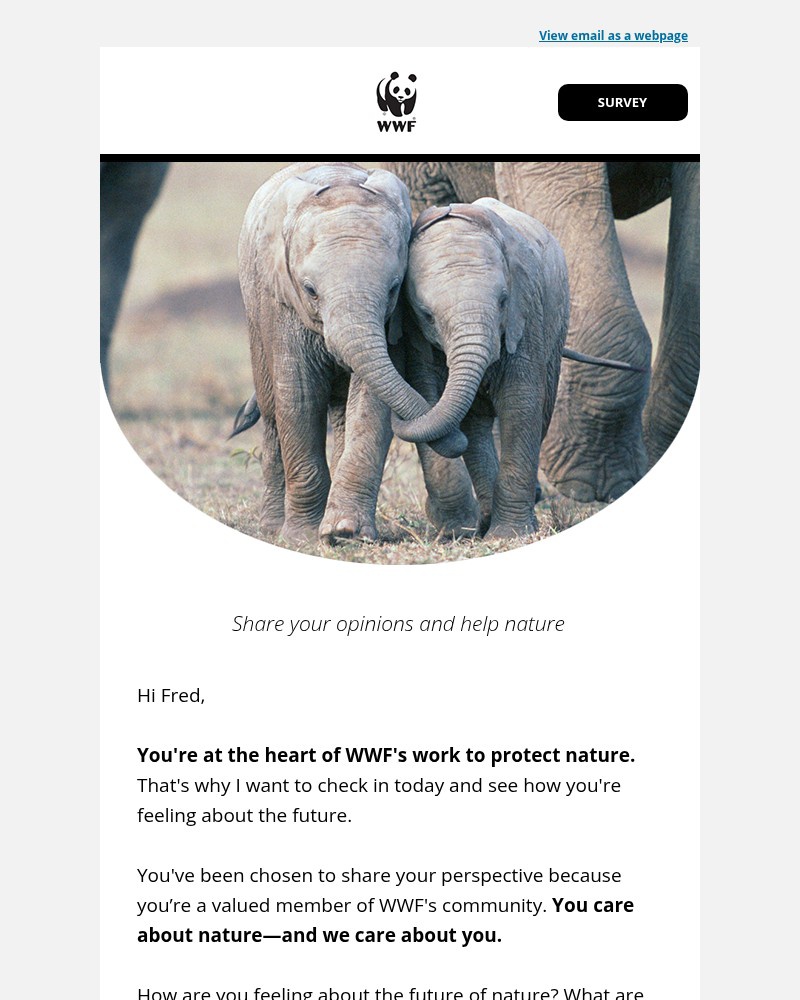 Screenshot of email with subject /media/emails/fred-lets-check-in-df3989-cropped-0953aa4a.jpg