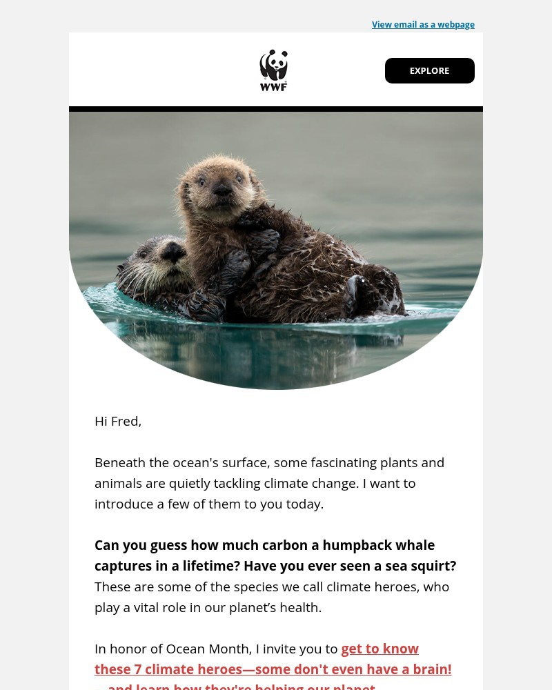 Screenshot of email sent to a World Wildlife Fund Newsletter subscriber