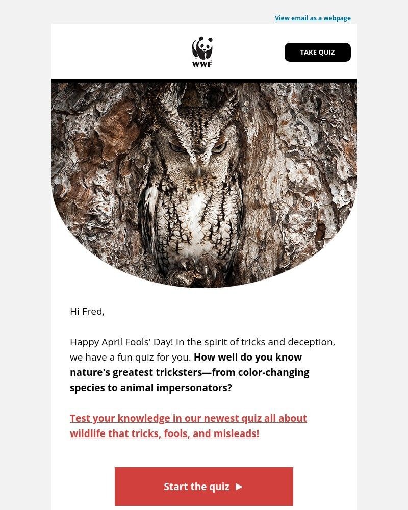 Screenshot of email with subject /media/emails/fred-meet-wildlifes-tricksters-1f28f9-cropped-f12627bf.jpg