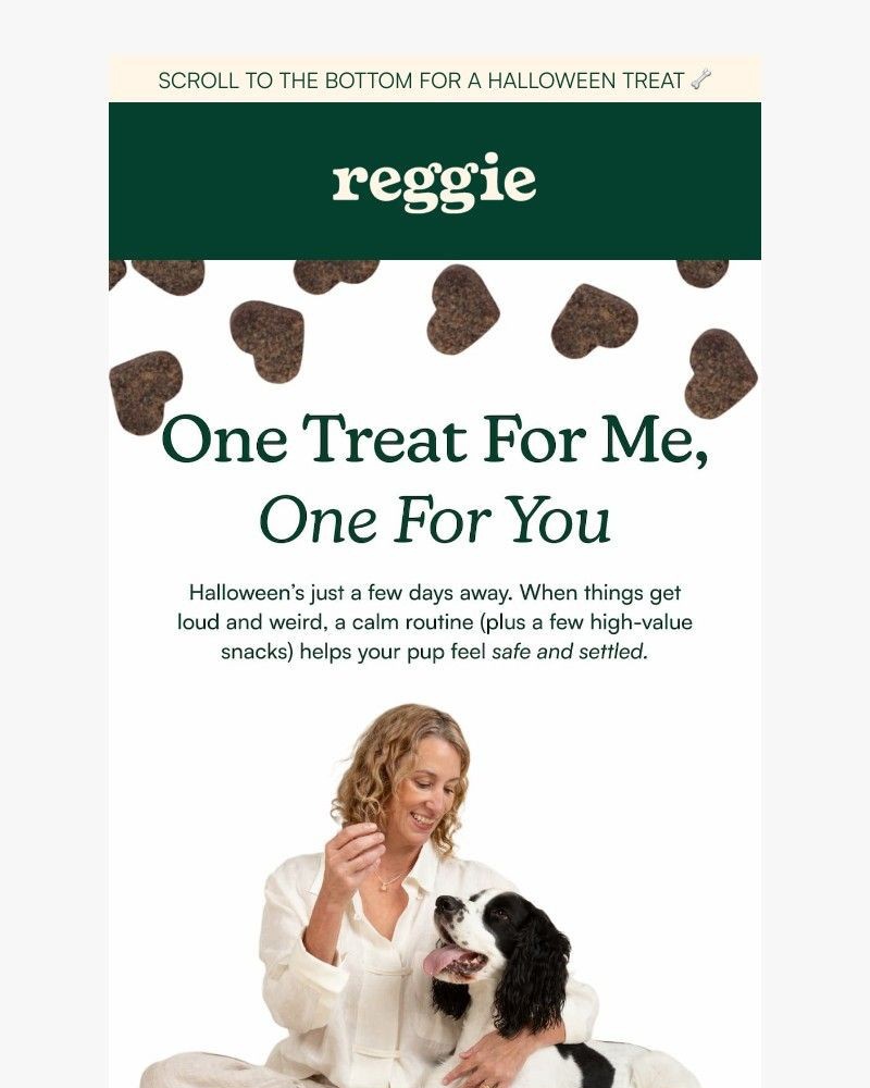 Screenshot of email sent to a reggie Newsletter subscriber