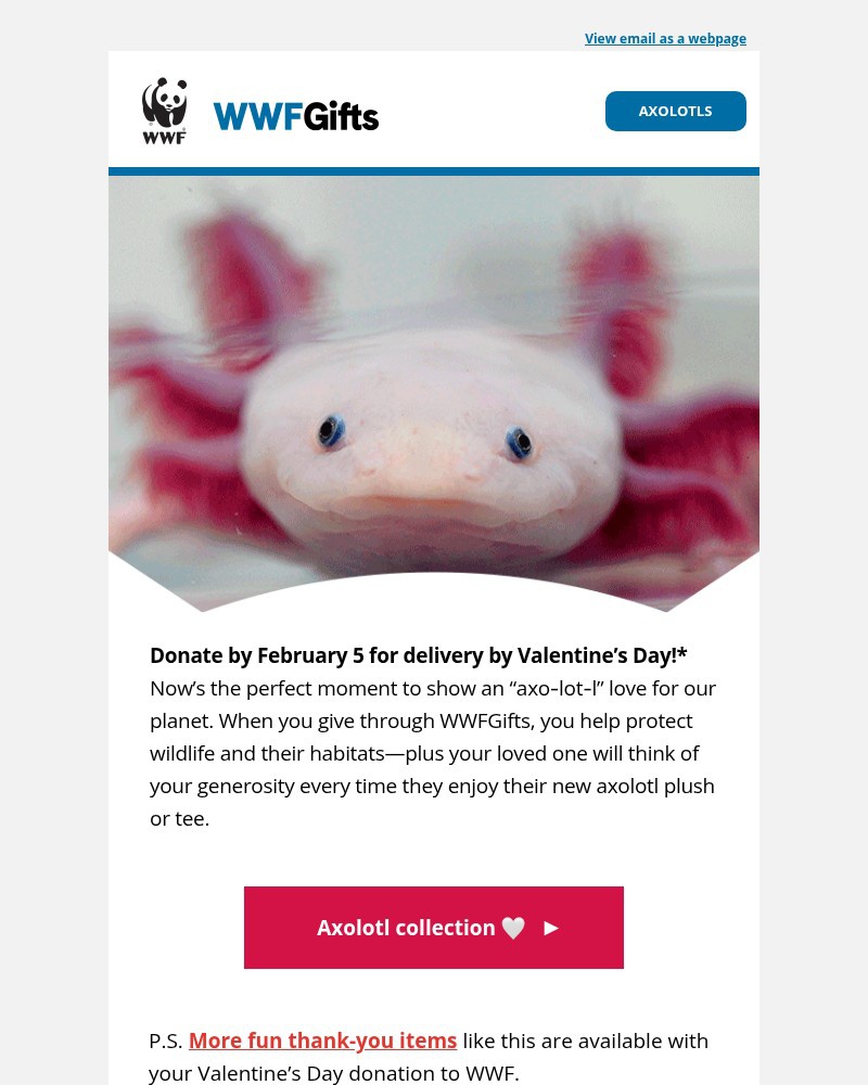 Screenshot of email sent to a World Wildlife Fund Newsletter subscriber