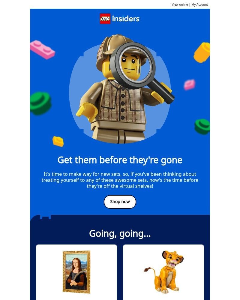 Screenshot of email sent to a Lego Registered user
