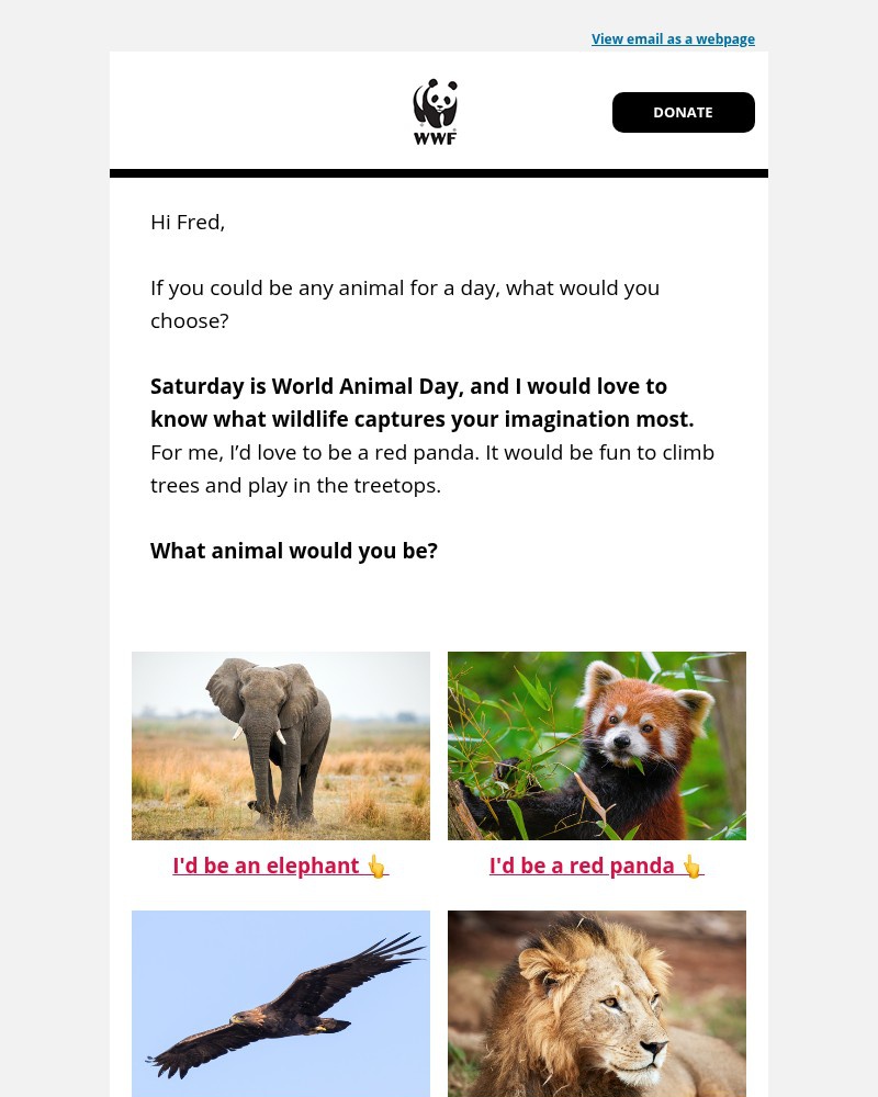 Screenshot of email with subject /media/emails/fred-what-animal-would-you-be-for-a-day-52013e-cropped-89dfaddc.jpg