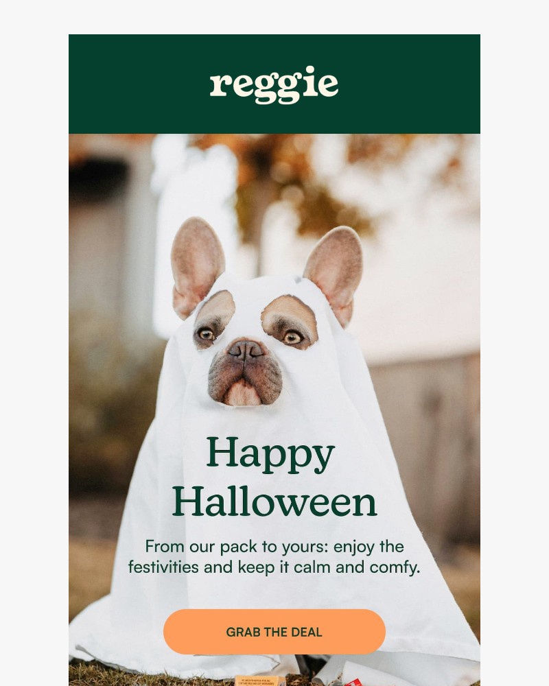 Screenshot of email sent to a reggie Newsletter subscriber