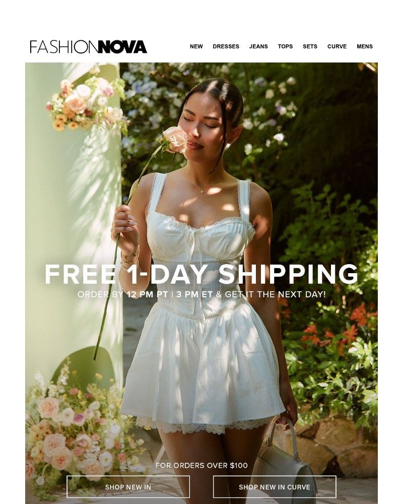 Screenshot of email with subject /media/emails/free-1-day-shipping-on-us-4f032b-cropped-c202d232.jpg
