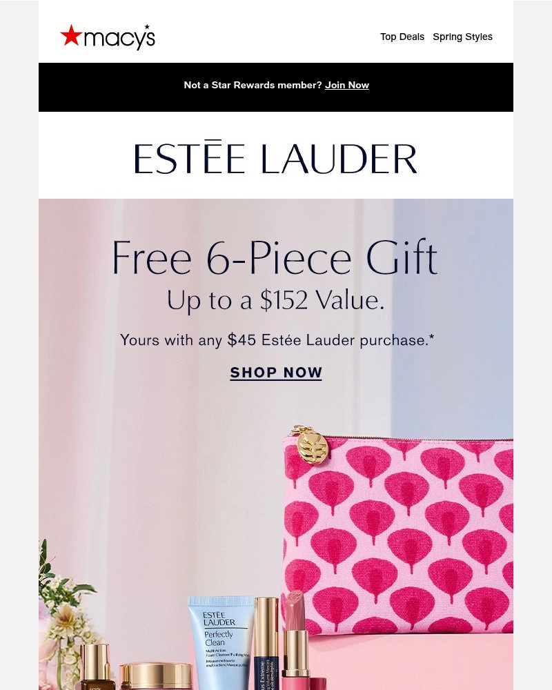 Screenshot of email with subject /media/emails/free-6-pc-estee-lauder-gift-20-off-double-wear-foundation-and-concealer-305a59-cr_OidinoK.jpg