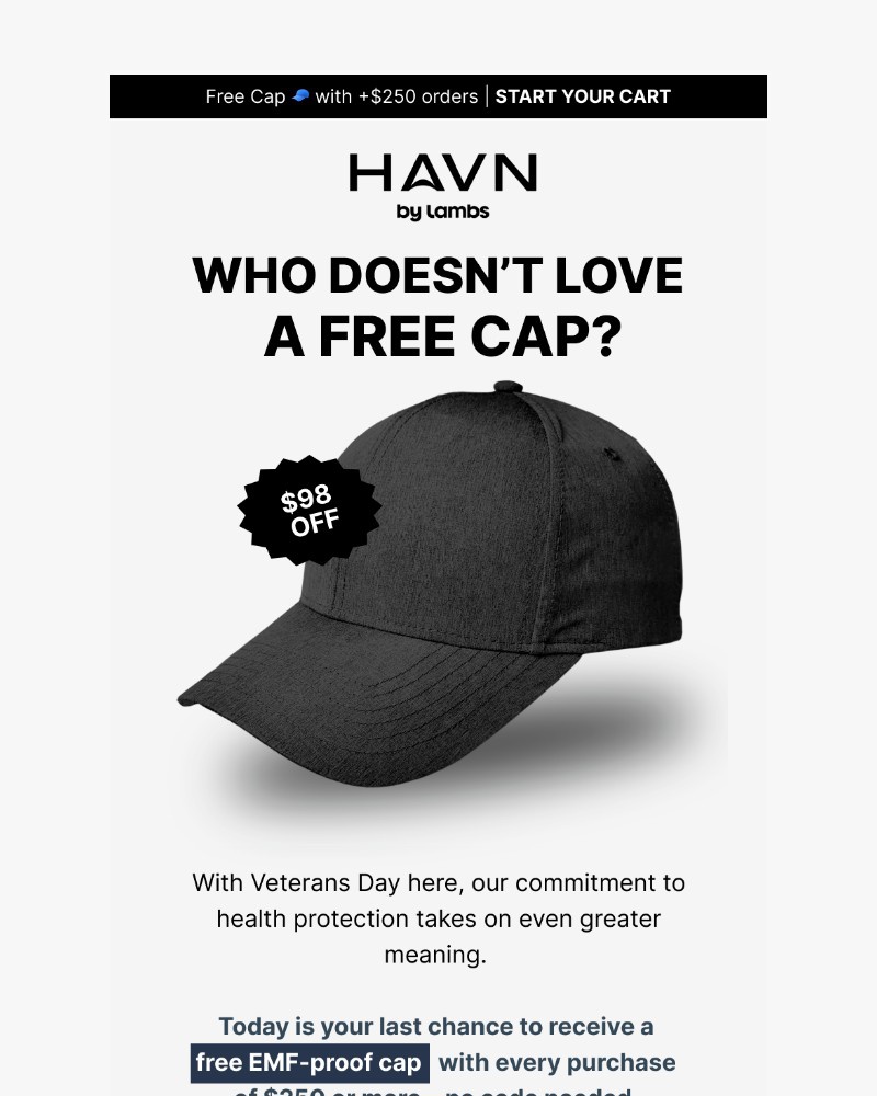 Screenshot of email sent to a Havn Newsletter subscriber