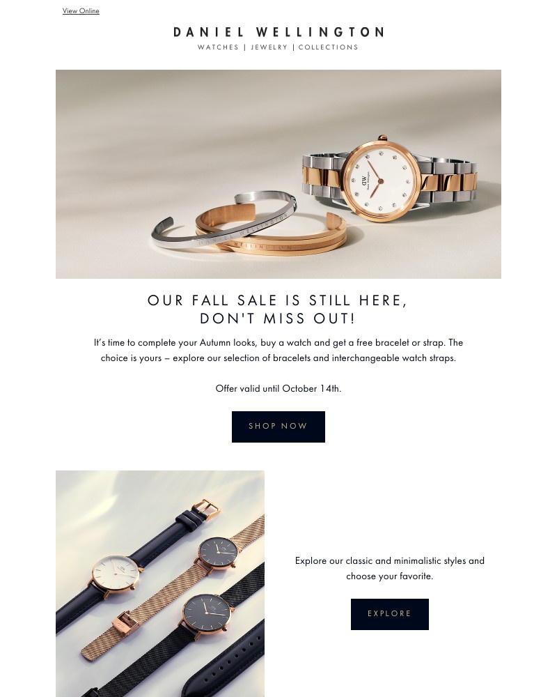 Screenshot of email with subject /media/emails/free-bracelet-or-strap-when-purchasing-a-watch-241375-cropped-e17609f6.jpg