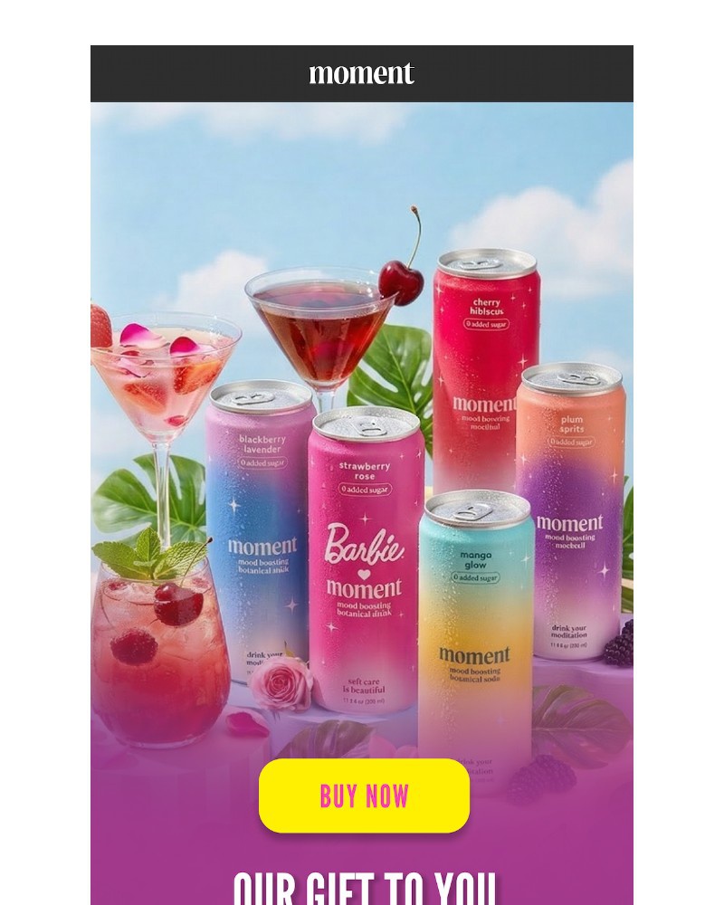 Screenshot of email sent to a Moment Newsletter subscriber