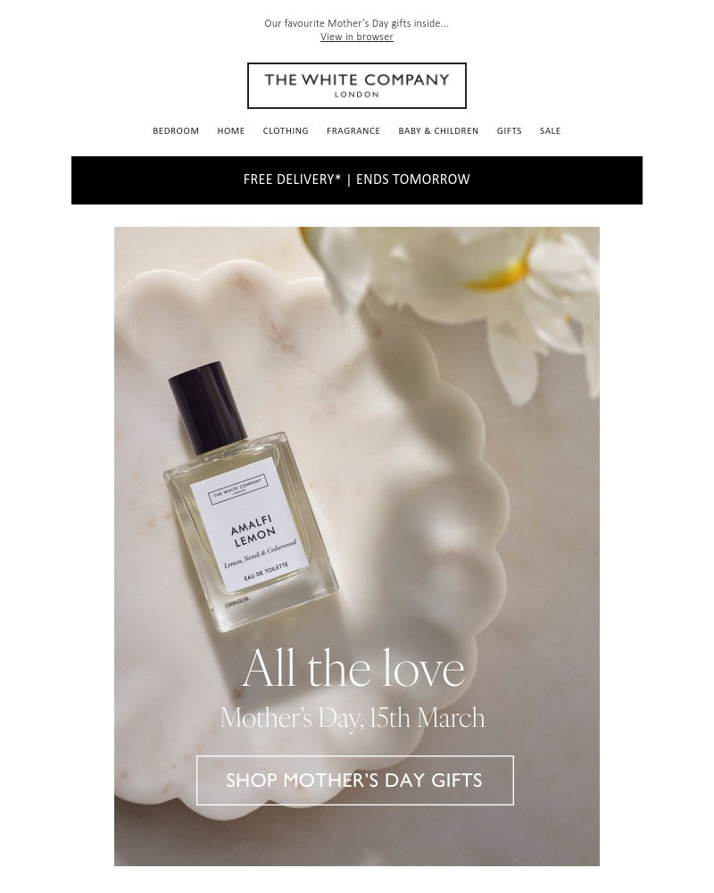 Screenshot of email with subject /media/emails/free-delivery-ends-tomorrow-dd7243-cropped-5dad1dbd.jpg