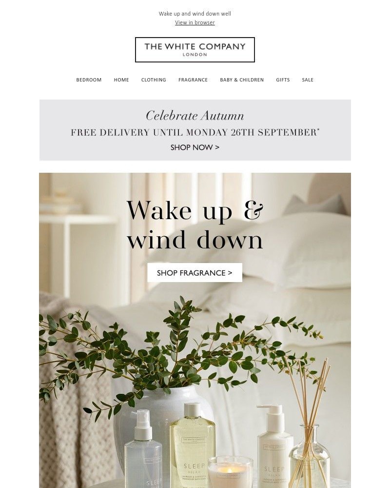Screenshot of email with subject /media/emails/free-delivery-fragrance-and-wellness-favourites-5c3f78-cropped-db6a2b17.jpg