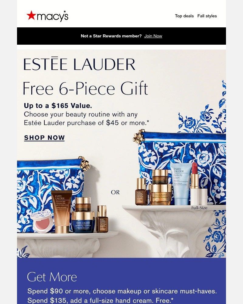 Screenshot of email with subject /media/emails/free-estee-lauder-gift-set-be0c89-cropped-8975569c.jpg