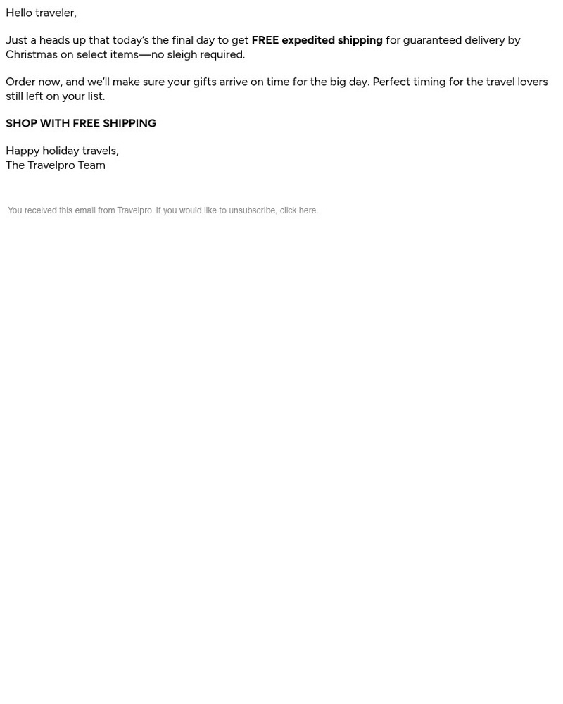 Screenshot of email sent to a Travelpro Newsletter subscriber