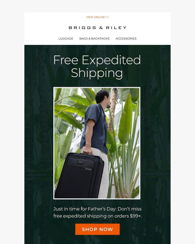 Screenshot of email with subject /media/emails/free-expedited-shipping-starts-now-8af0d6-cropped-46ac24bf.jpg