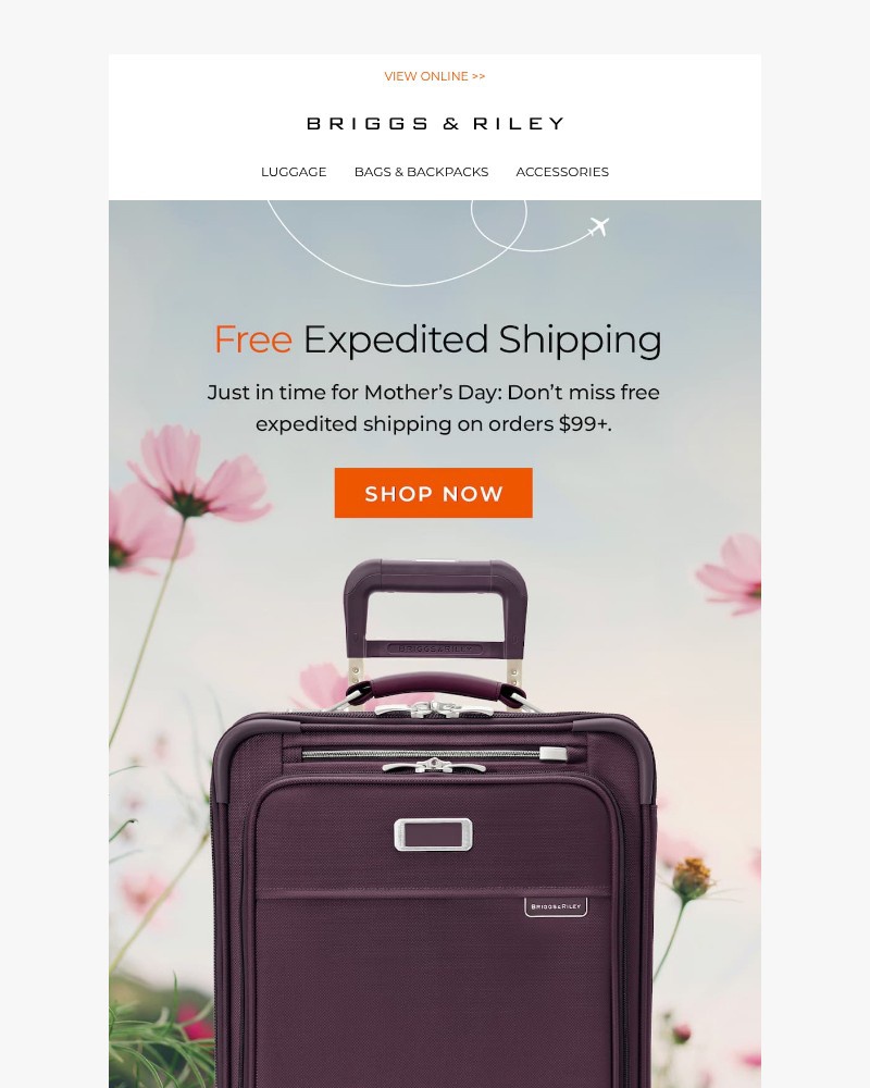 Screenshot of email with subject /media/emails/free-expedited-shipping-starts-now-dc6af8-cropped-fedbf743.jpg