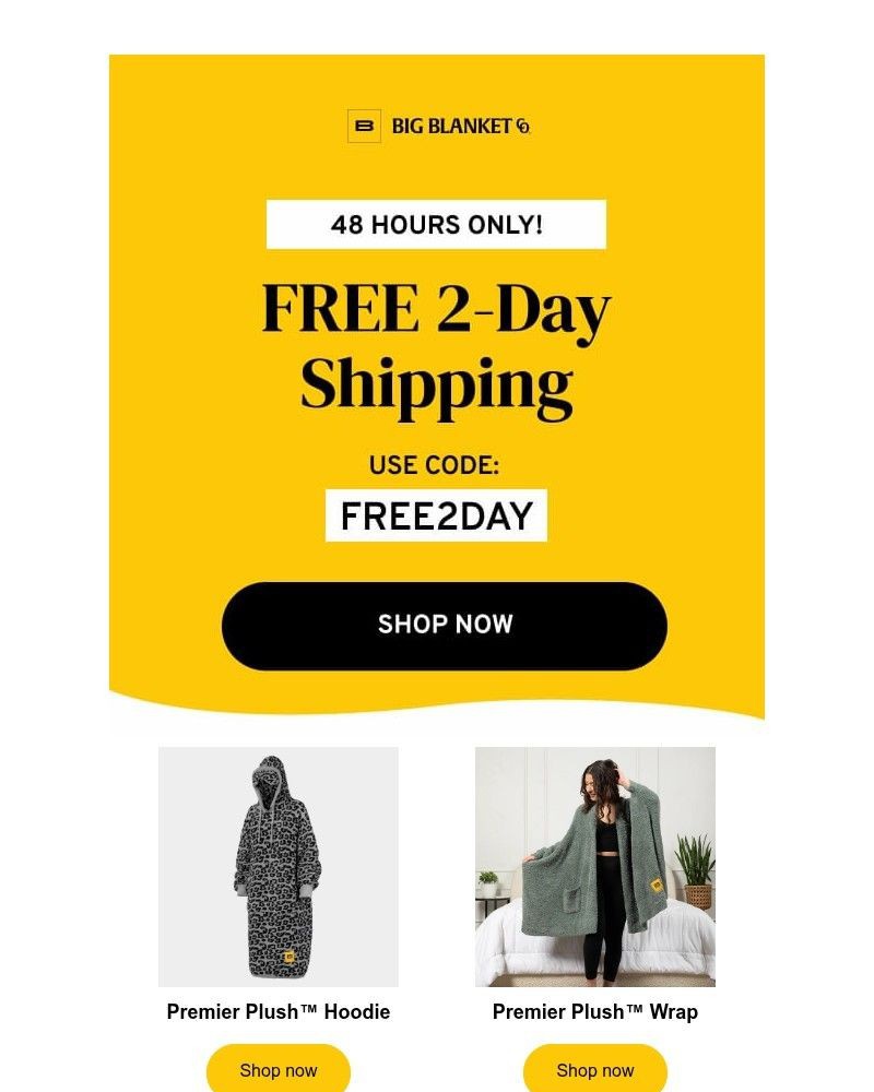 Screenshot of email with subject /media/emails/free-express-shipping-on-us-ed86e2-cropped-1b1589a4.jpg