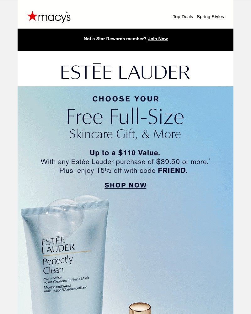 Screenshot of email with subject /media/emails/free-full-sized-estee-lauder-skin-care-with-your-3950-purchase-51bdca-cropped-404d5f47.jpg