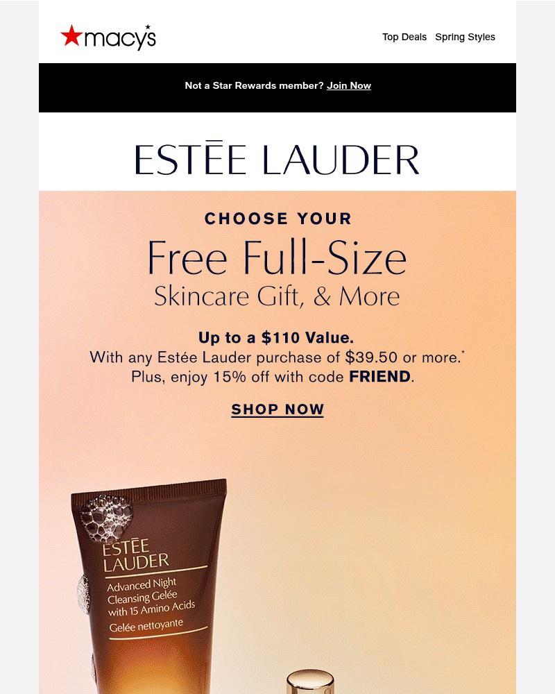 Screenshot of email with subject /media/emails/free-full-sized-estee-lauder-skin-care-with-your-3950-purchase-8c2228-cropped-cc41e80f.jpg
