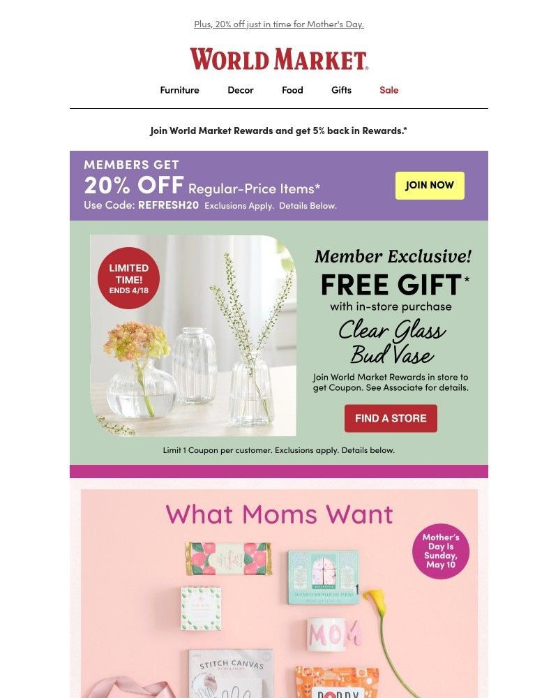 Screenshot of email with subject /media/emails/free-gift-this-bud-vase-is-so-cute-6b82e0-cropped-3ea18279.jpg