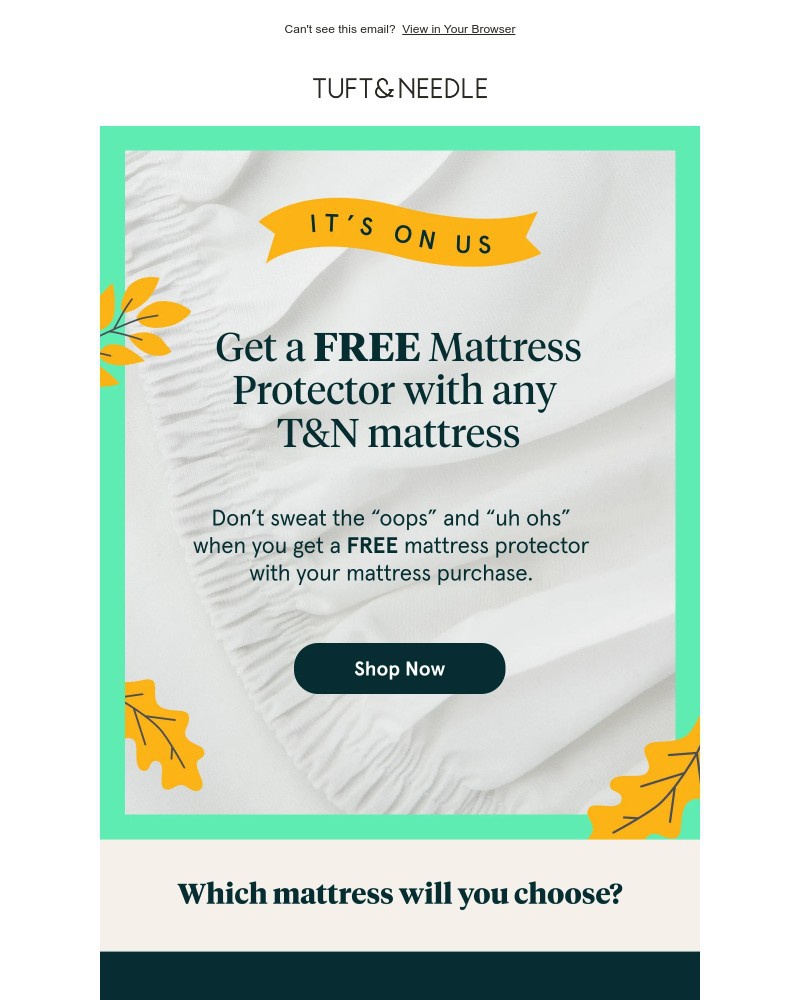 Screenshot of email with subject /media/emails/free-gift-with-your-new-mattress-c6924c-cropped-cf0f51e5.jpg