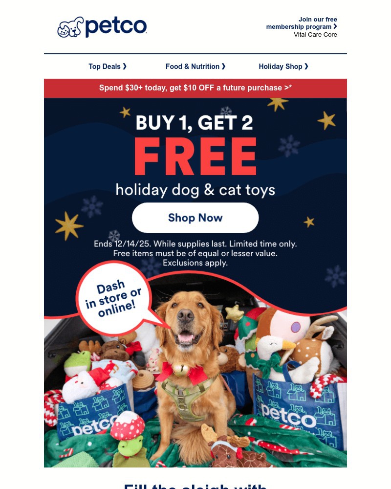 Screenshot of email with subject /media/emails/free-gifts-from-santa-paws-are-coming-to-town-151343-cropped-aa07e843.jpg