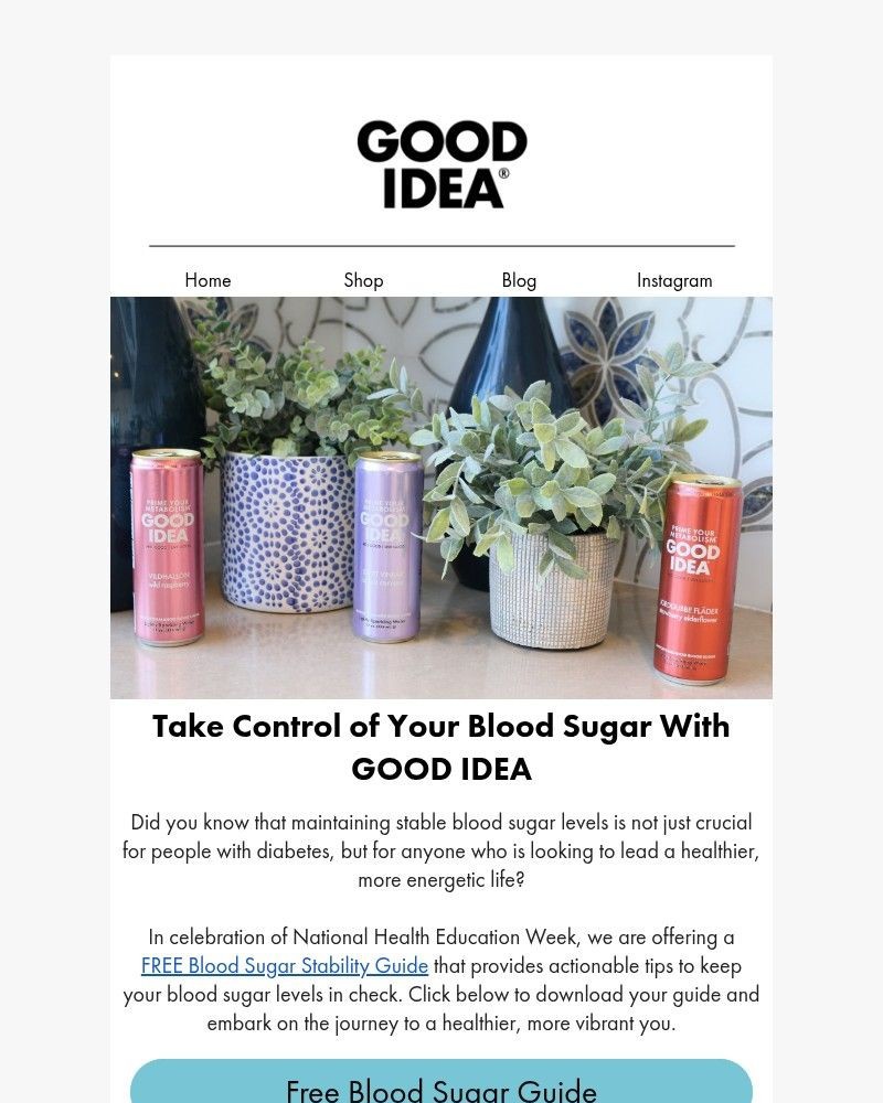 Screenshot of email with subject /media/emails/free-guide-balance-your-blood-sugar-naturally-841daa-cropped-732849af.jpg