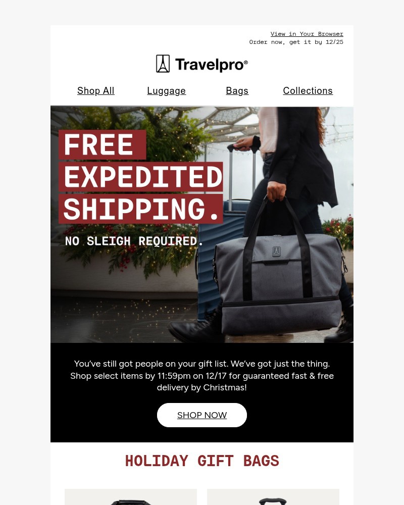 Screenshot of email with subject /media/emails/free-holiday-shipping-89bf46-cropped-55b5c684.jpg