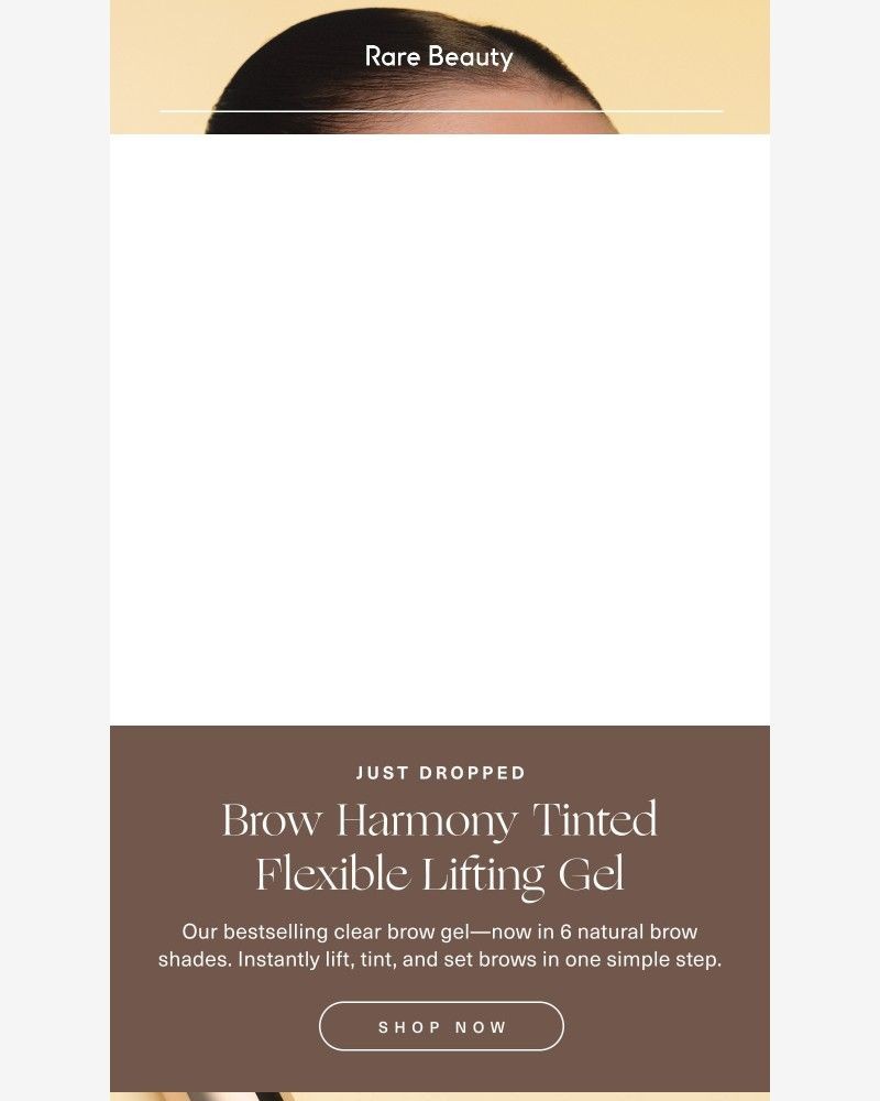 Screenshot of email sent to a Rare Beauty Newsletter subscriber