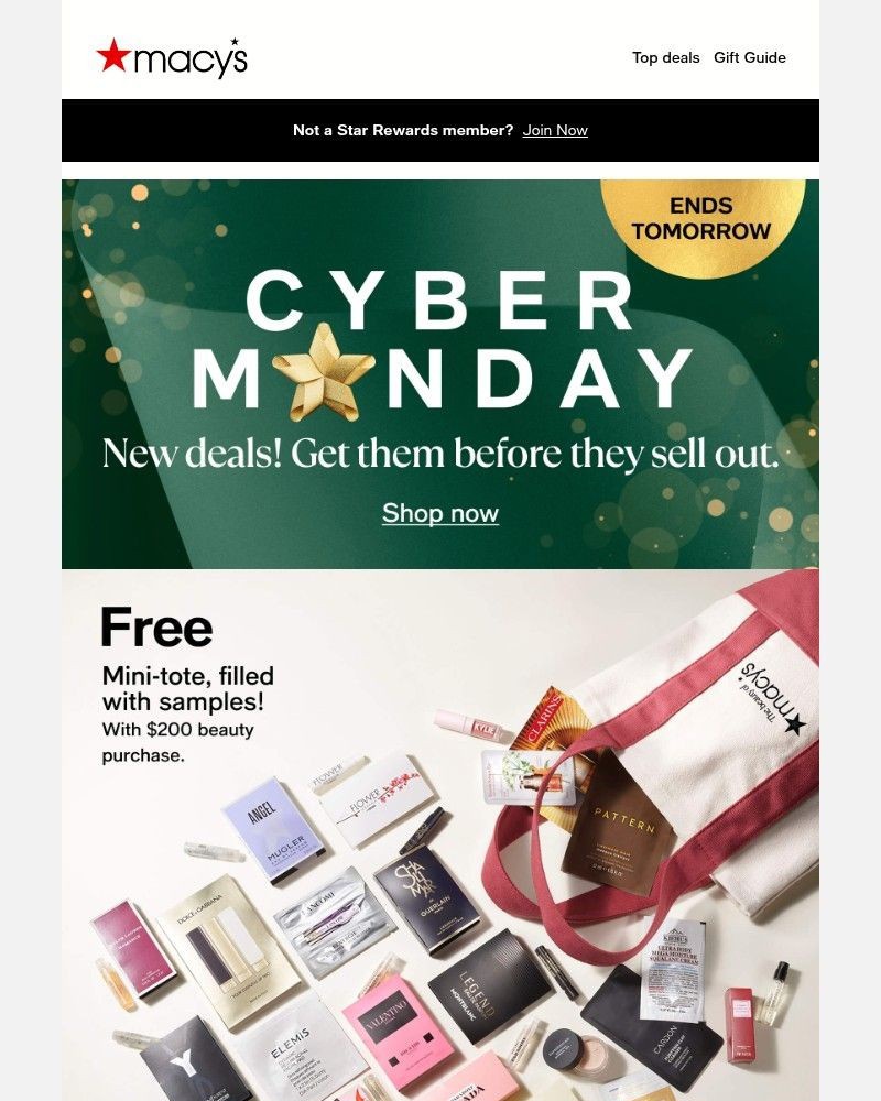 Screenshot of email with subject /media/emails/free-mini-tote-filled-with-samples-with-your-200-beauty-purchase-9096da-cropped-b7cea51f.jpg