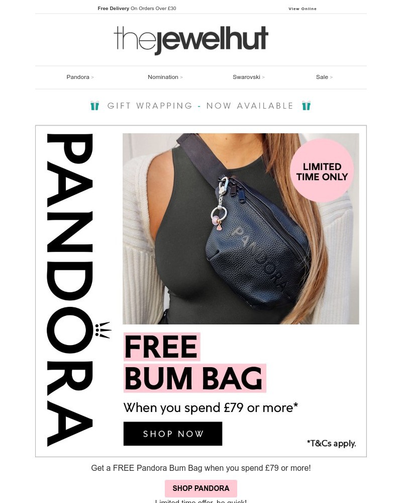 Screenshot of email with subject /media/emails/free-pandora-bum-bag-when-you-spend-79-or-more-45af4f-cropped-db38590b.jpg