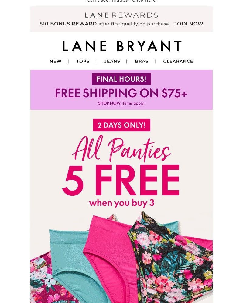 Screenshot of email with subject /media/emails/free-panties-inside-04bbe2-cropped-baa84c95.jpg