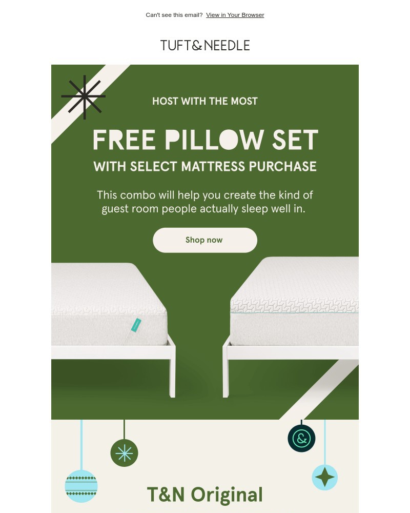 Screenshot of email sent to a Tuft & Needle Newsletter subscriber