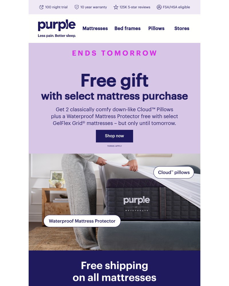 Screenshot of email with subject /media/emails/free-pillows-a-mattress-protector-4178f6-cropped-68b16f35.jpg