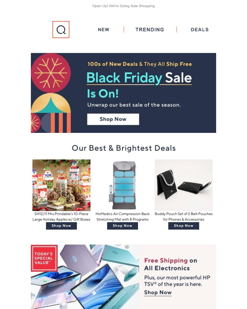 Screenshot of email with subject /media/emails/free-ship-1000s-of-doorbusters-d8726b-cropped-82d56b05.jpg