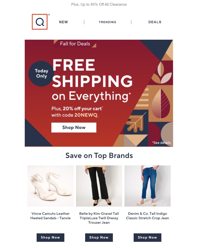 Screenshot of email with subject /media/emails/free-shipping-20-off-your-1st-order-7cd847-cropped-10d02e95.jpg