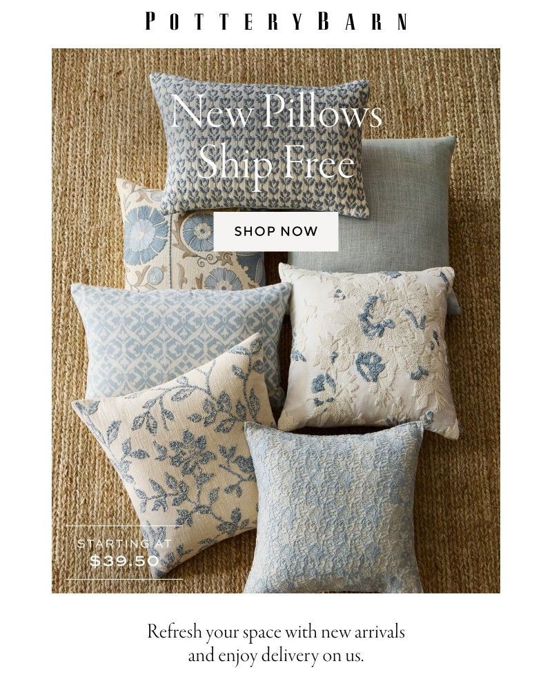 Screenshot of email with subject /media/emails/free-shipping-on-new-pillows-4cdb13-cropped-7047181a.jpg