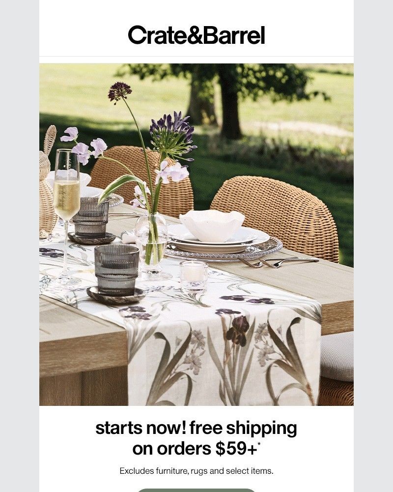 Screenshot of email with subject /media/emails/free-shipping-on-orders-59-is-on-5fb64a-cropped-93a3b535.jpg