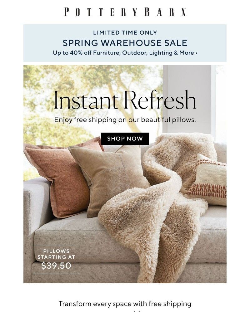 Screenshot of email with subject /media/emails/free-shipping-on-pillows-more-f7e7cd-cropped-e2952d82.jpg