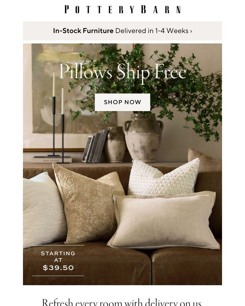 Screenshot of email with subject /media/emails/free-shipping-on-pillows-youll-love-82b71e-cropped-85037a35.jpg