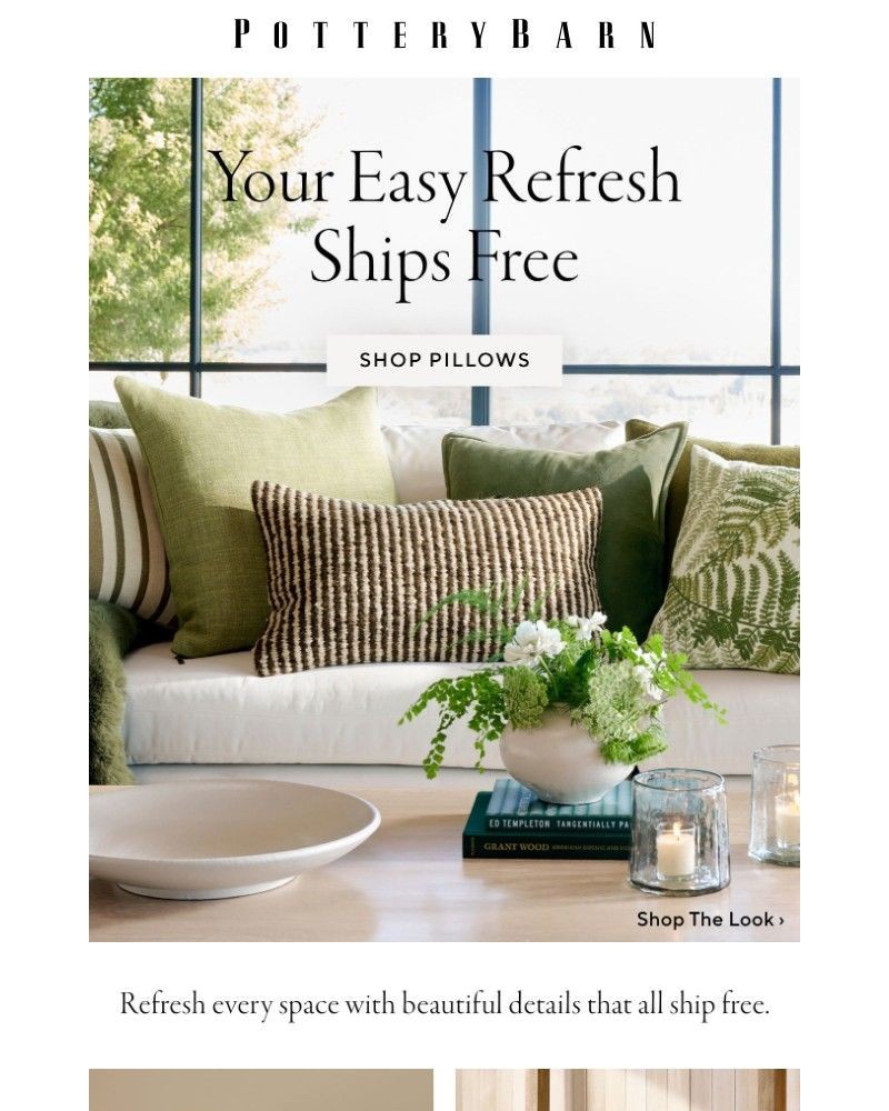 Screenshot of email with subject /media/emails/free-shipping-on-refresh-ready-pillows-5103b7-cropped-5caad944.jpg