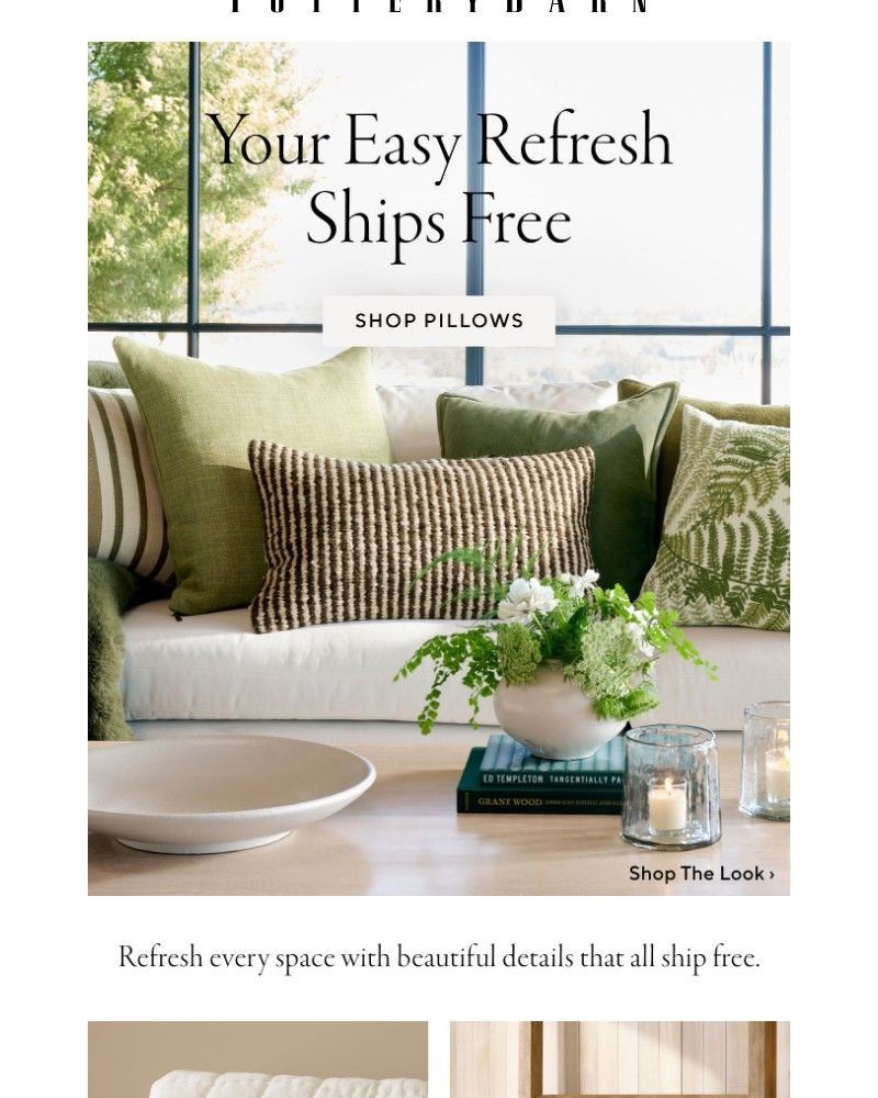 Screenshot of email with subject /media/emails/free-shipping-on-refresh-ready-pillows-bb0ae1-cropped-b7bbdaef.jpg